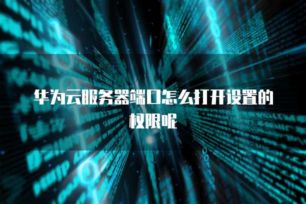 华为云服务器端口怎么打开设置的权限呢