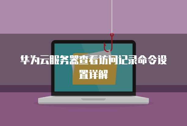 华为云服务器查看访问记录命令设置详解