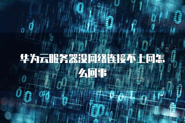 华为云服务器没网络连接不上网怎么回事