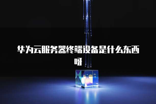 华为云服务器终端设备是什么东西呀