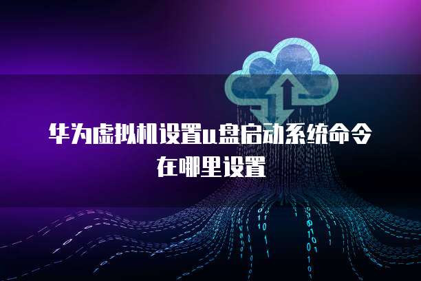 华为虚拟机设置u盘启动系统命令在哪里设置