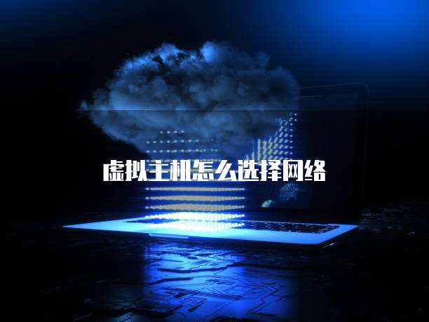 虚拟主机怎么选择网络