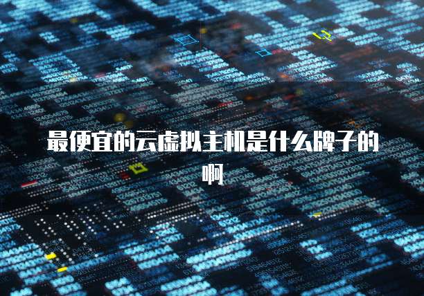 最便宜的云虚拟主机是什么牌子的啊