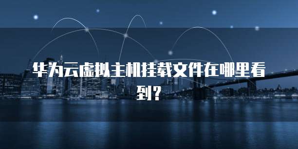 华为云虚拟主机挂载文件在哪里看到？