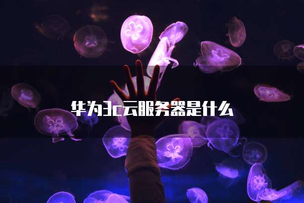 华为3c云服务器是什么