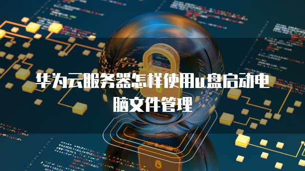 华为云服务器怎样使用u盘启动电脑文件管理