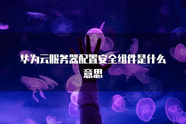 华为云服务器配置安全组件是什么意思