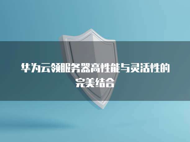 华为云领服务器高性能与灵活性的完美结合