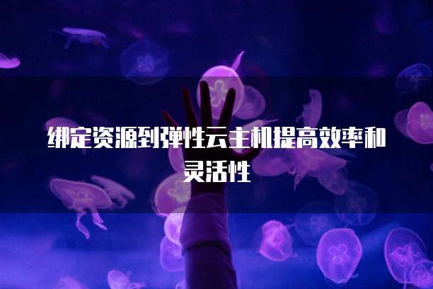 绑定资源到弹性云主机提高效率和灵活性