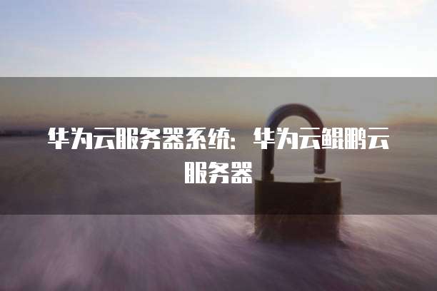 华为云服务器系统：华为云鲲鹏云服务器