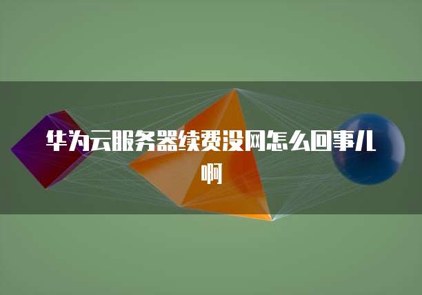华为云服务器续费没网怎么回事儿啊