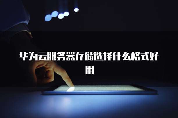 华为云服务器存储选择什么格式好用