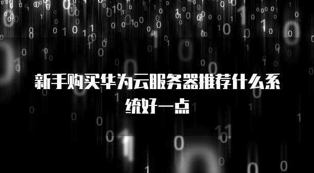 新手购买华为云服务器推荐什么系统好一点