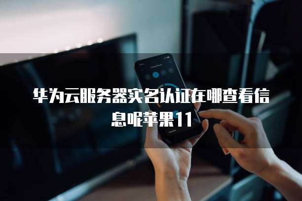 华为云服务器实名认证在哪查看信息呢苹果11