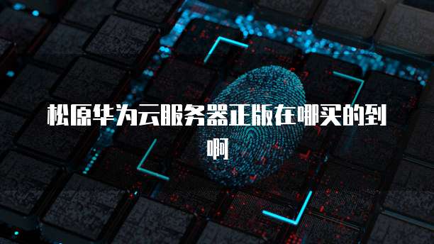 松原华为云服务器正版在哪买的到啊