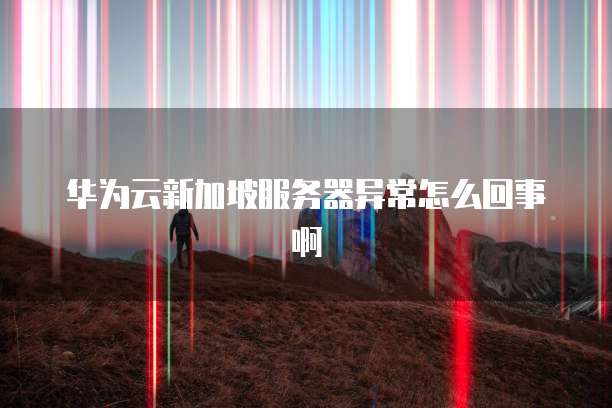 华为云新加坡服务器异常怎么回事啊