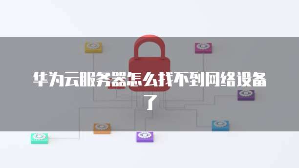 华为云服务器怎么找不到网络设备了