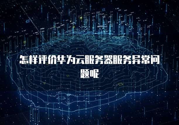 怎样评价华为云服务器服务异常问题呢