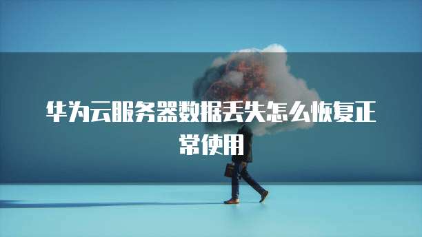 华为云服务器数据丢失怎么恢复正常使用