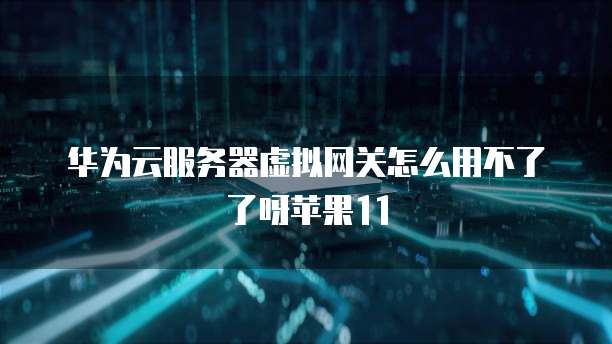 华为云服务器虚拟网关怎么用不了了呀苹果11