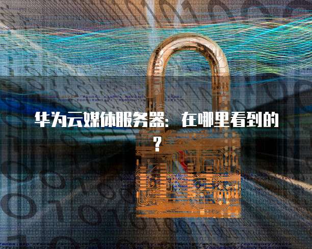 华为云媒体服务器：在哪里看到的？