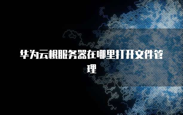 华为云根服务器在哪里打开文件管理