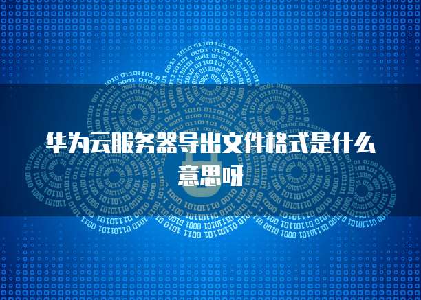 华为云服务器导出文件格式是什么意思呀