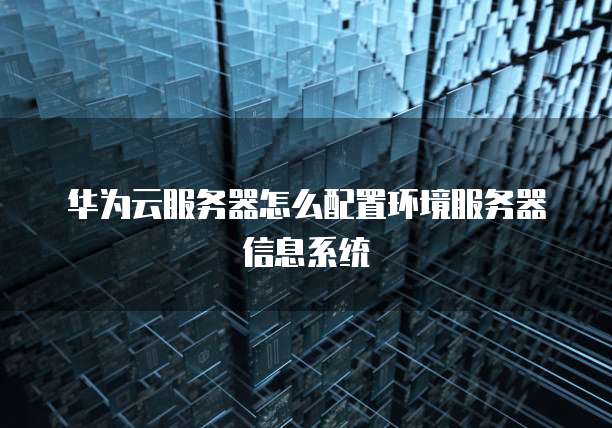 华为云服务器怎么配置环境服务器信息系统
