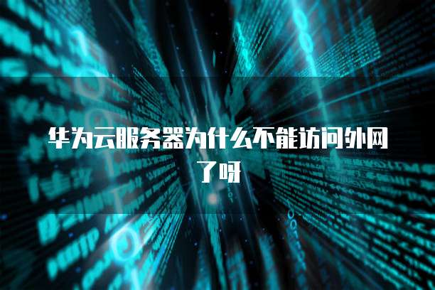 华为云服务器为什么不能访问外网了呀