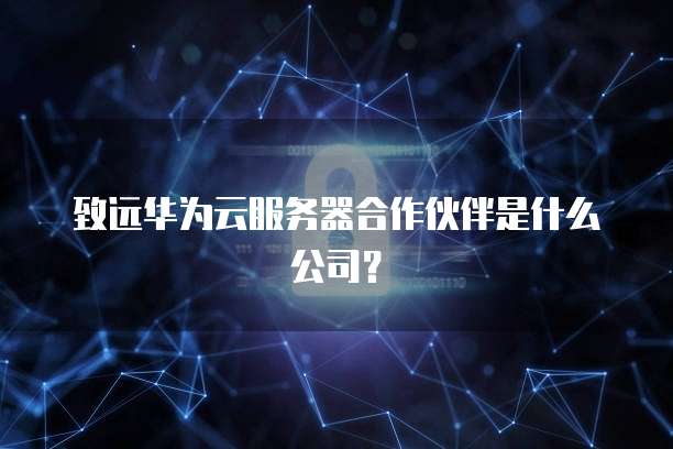 致远华为云服务器合作伙伴是什么公司？