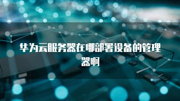 华为云服务器在哪部署设备的管理器啊