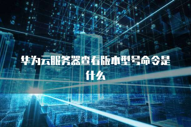 华为云服务器查看版本型号命令是什么