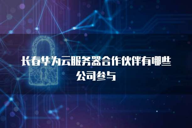 长春华为云服务器合作伙伴有哪些公司参与