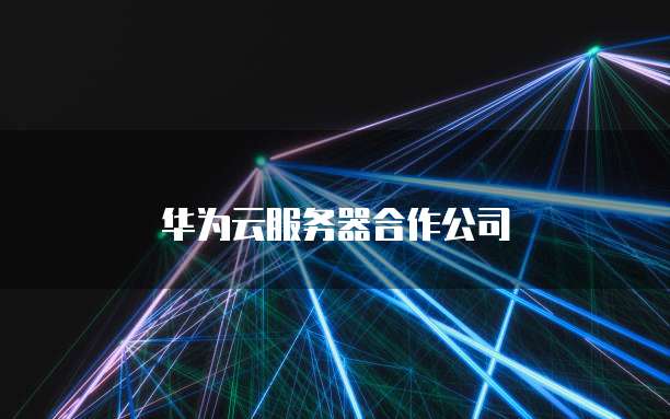 华为云服务器合作公司