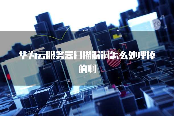 华为云服务器扫描漏洞怎么处理掉的啊