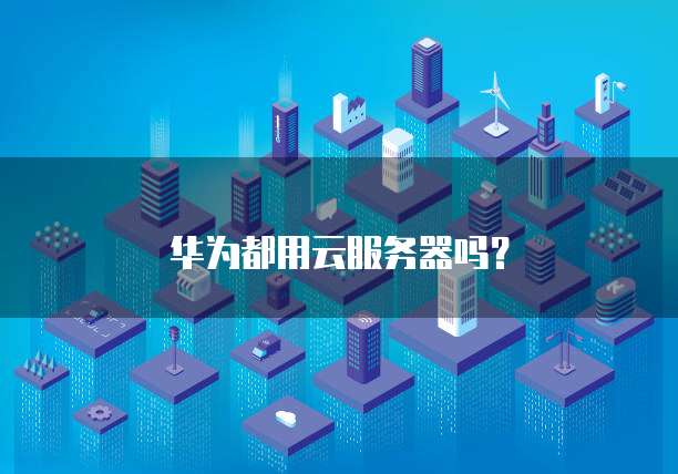 华为都用云服务器吗？