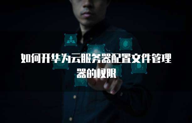 如何开华为云服务器配置文件管理器的权限