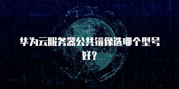 华为云服务器公共镜像选哪个型号好？