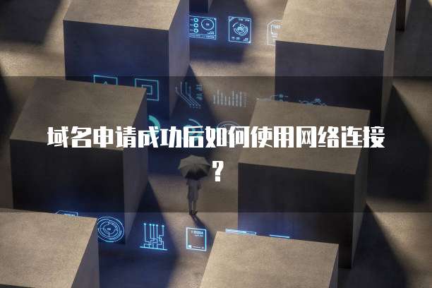 域名申请成功后如何使用网络连接？