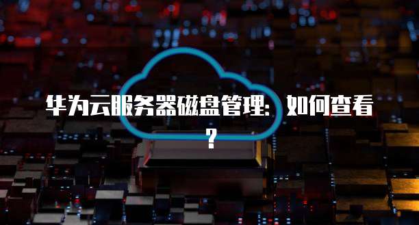 华为云服务器磁盘管理：如何查看？