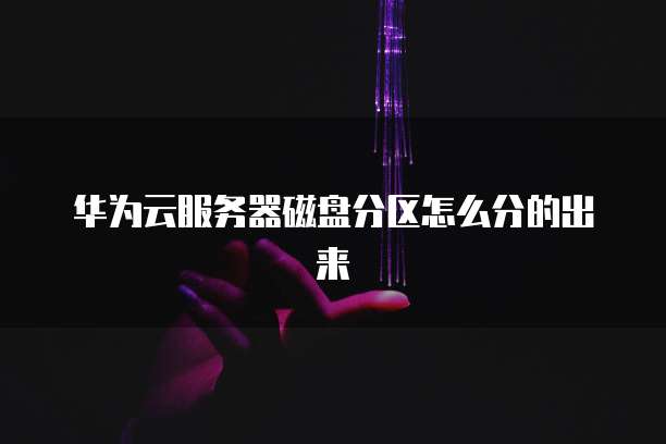 华为云服务器磁盘分区怎么分的出来