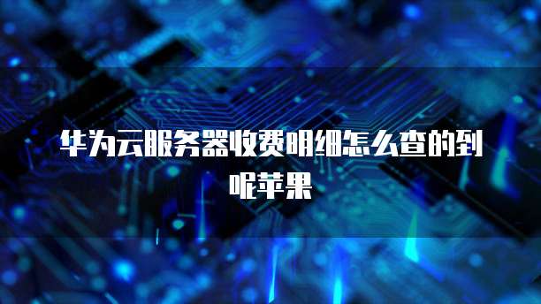 华为云服务器收费明细怎么查的到呢苹果