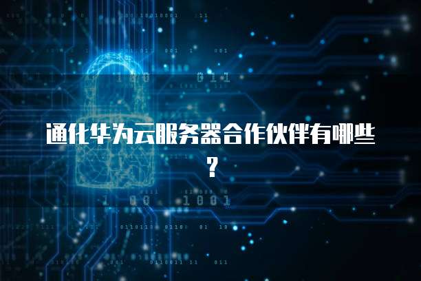 通化华为云服务器合作伙伴有哪些？