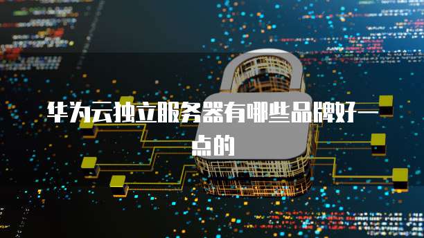 华为云独立服务器有哪些品牌好一点的