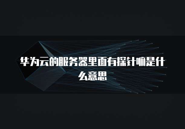 华为云的服务器里面有探针嘛是什么意思