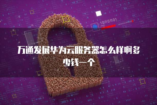 万通发展华为云服务器怎么样啊多少钱一个