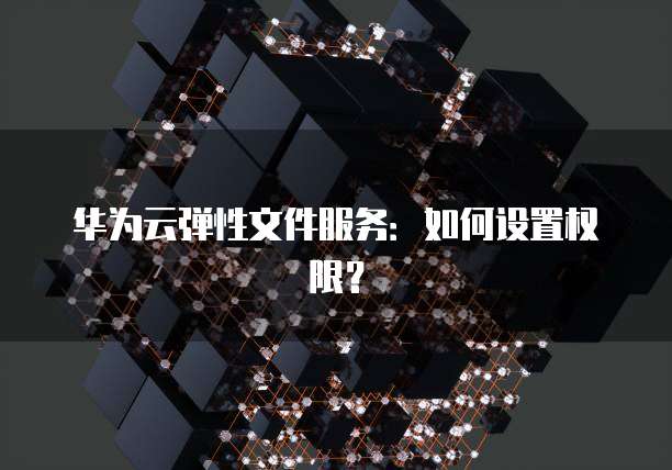 华为云弹性文件服务：如何设置权限？