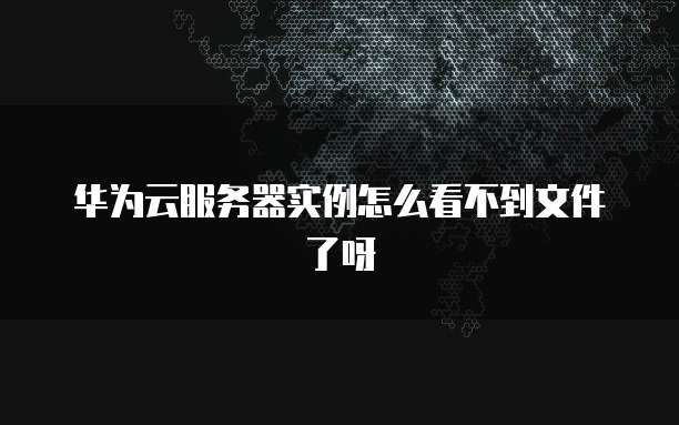 华为云服务器实例怎么看不到文件了呀