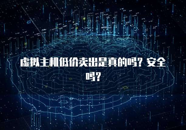 虚拟主机低价卖出是真的吗？安全吗？