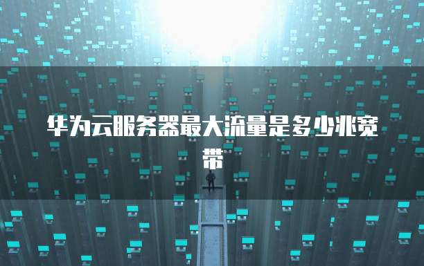 华为云服务器最大流量是多少兆宽带